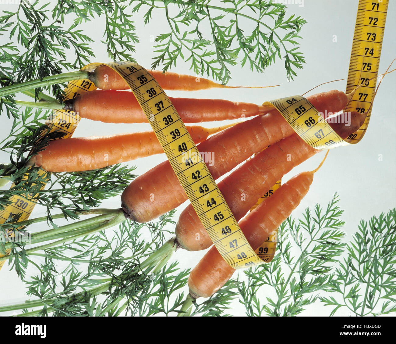 Carrots, leaves, tape measure cut out, carrot, carrots, carrot, umbel plant, Daucus sativus