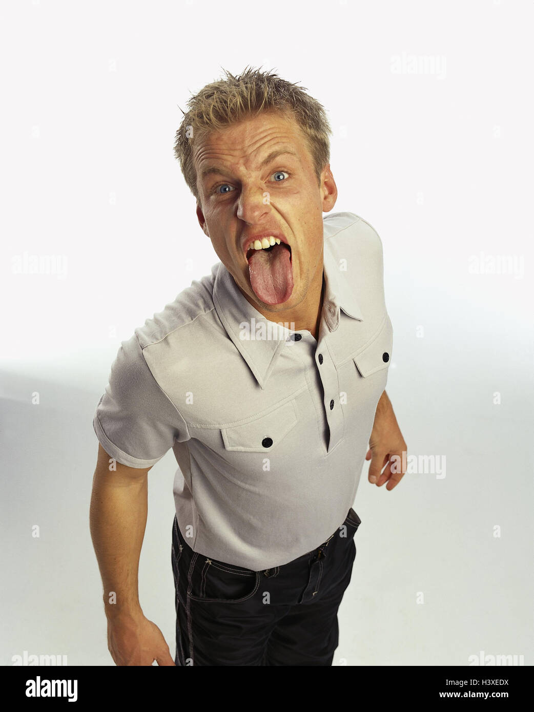 Man, young, annoys, tongue, stick out, Men, studio, near, cut out, annoyance, fight, conflict, insults, cheeky, impertinently, coarse Stock Photo