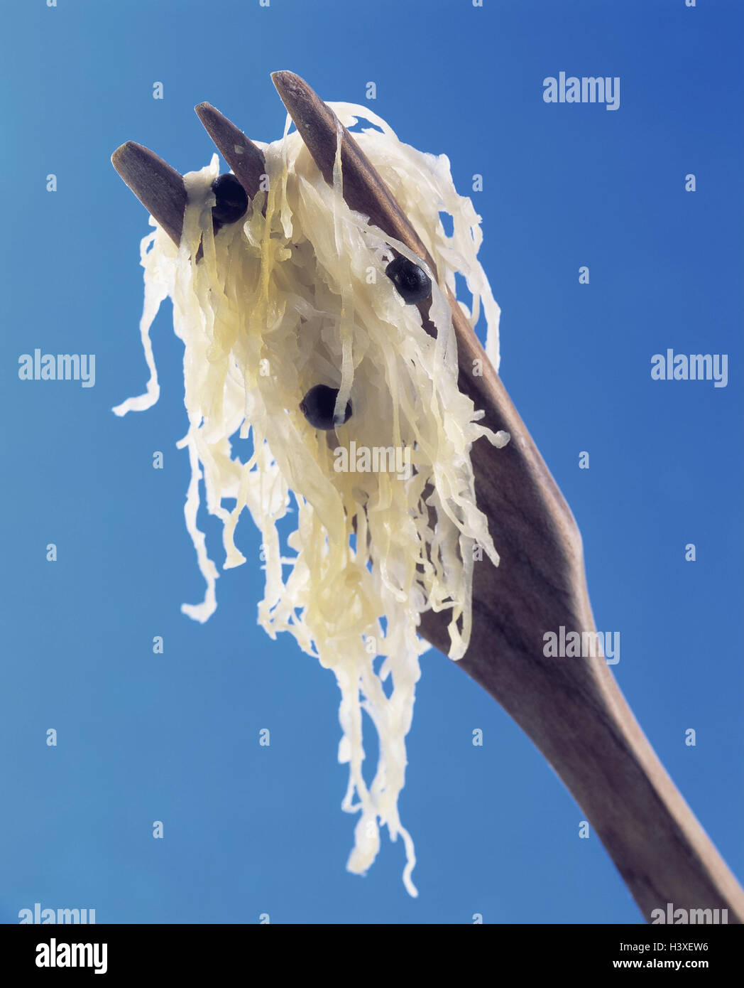 wooden branch, sauerkraut, juniper berries cabbage, cabbage vegetables