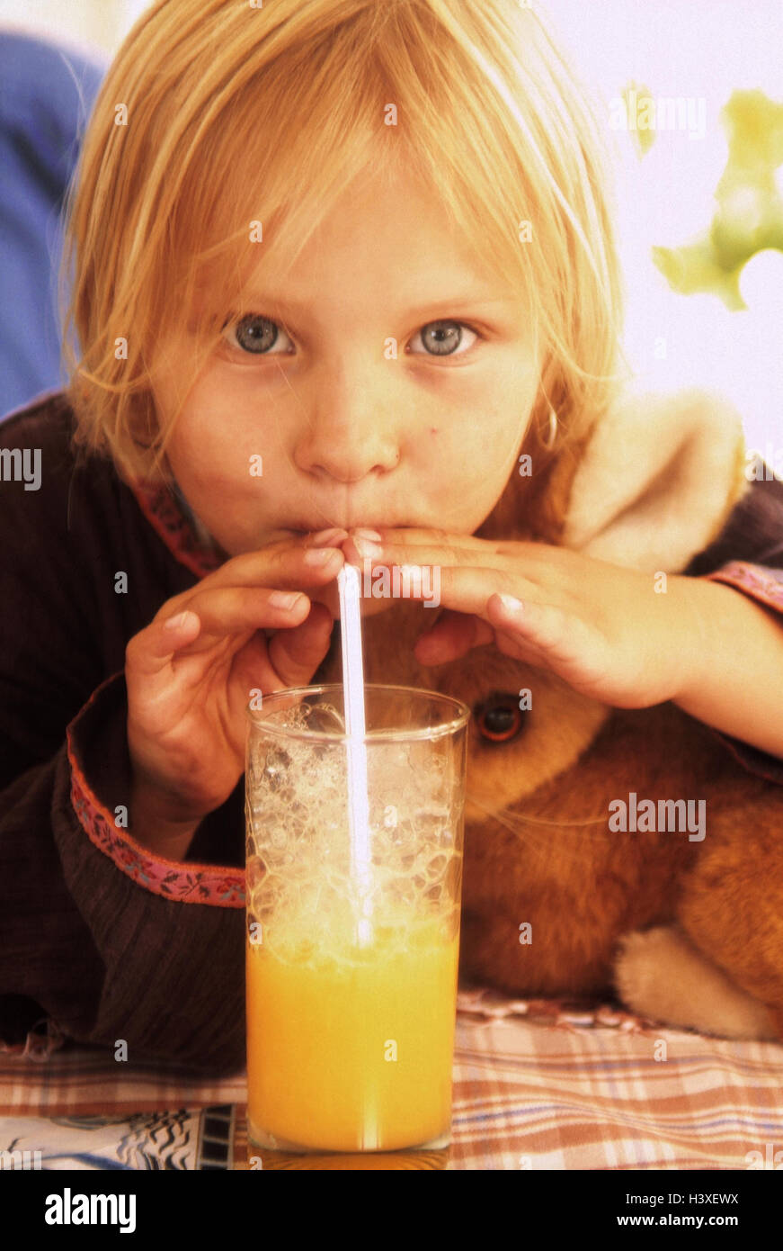 Girls, soft animal, glass, orange juice, drink, portrait, inside, child