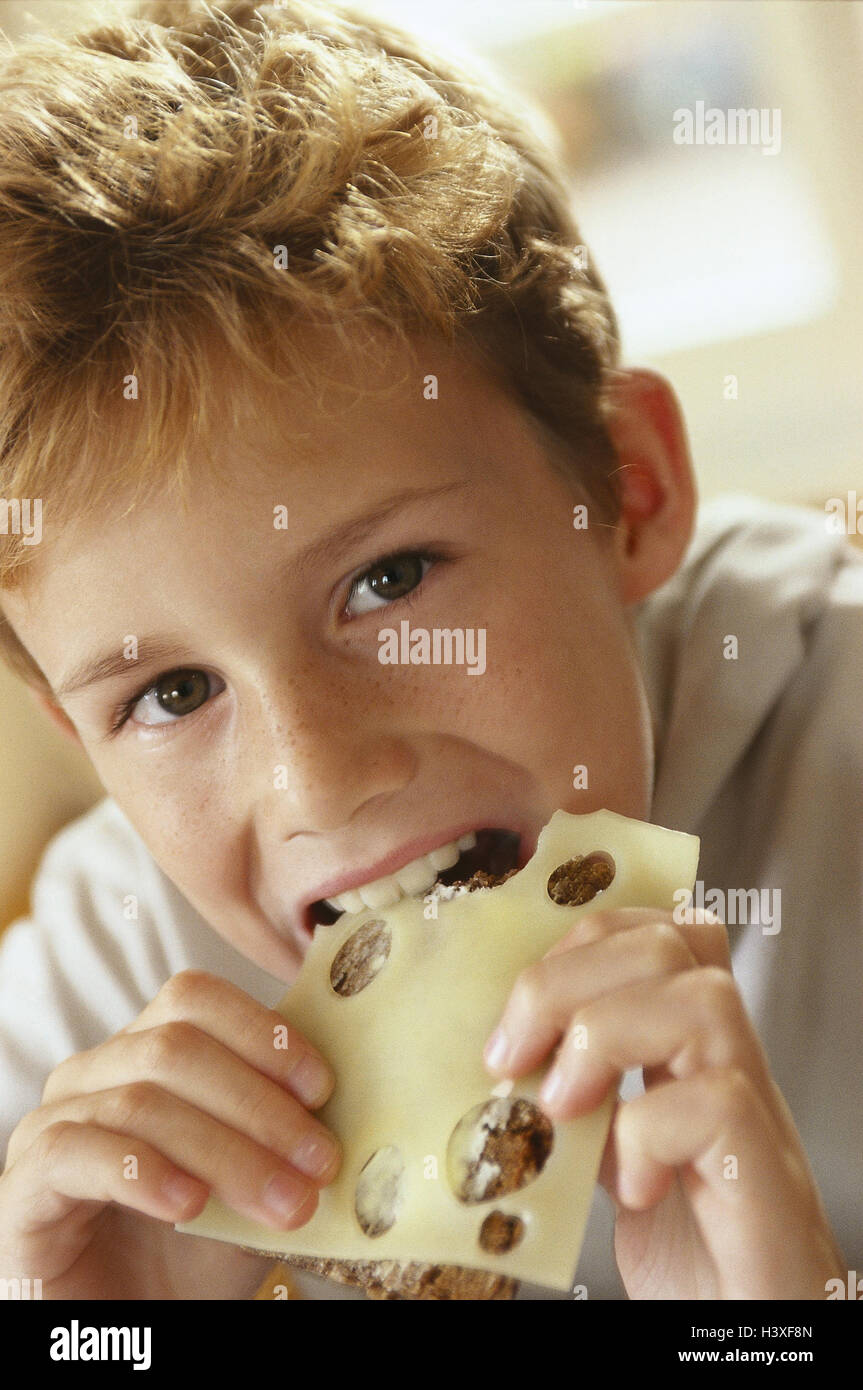 Boy, cheese sandwich, eat, portrait, child, hunger, meal, intermeal