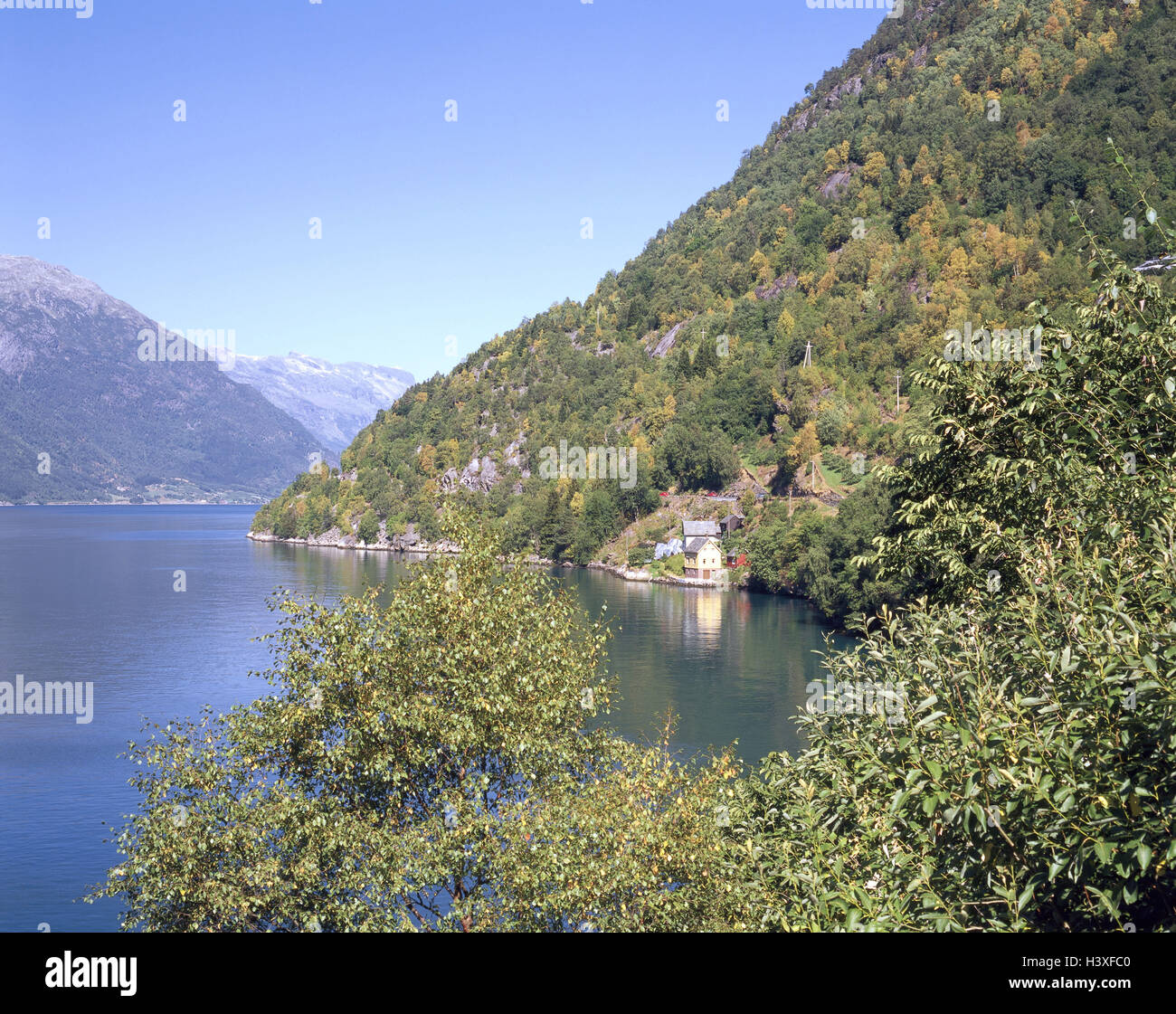 Norway, Hordaland, Odda, hard meadow fjord, shore, timber houses