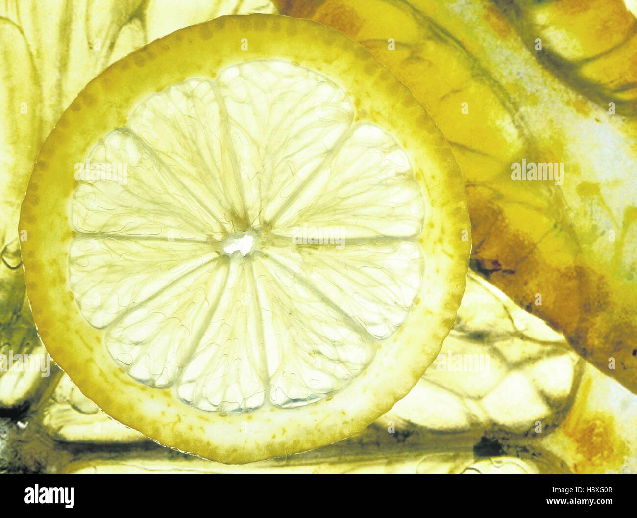 Lemons, slice lemon, close up, Still life, fruit, fruits, tropical fruits, citrus fruits, Agrumen, Citroideae, lemon, Citrus limon, slice, cut open, healthy, vitamins, rich in vitamins, vitamin C, yellow, acidly, transparent, Stock Photo