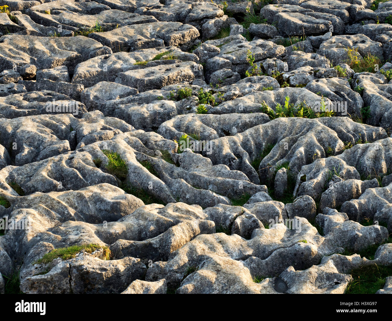 Limestone Pavement at Malham Cove Malham Yorkshire Dales England Stock