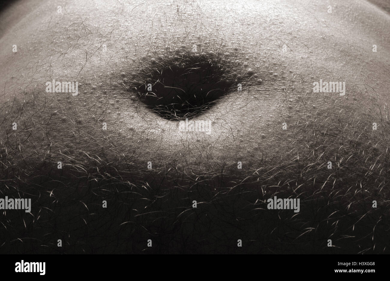 Bellybutton Close Up Stock Photos Bellybutton Close Up Stock