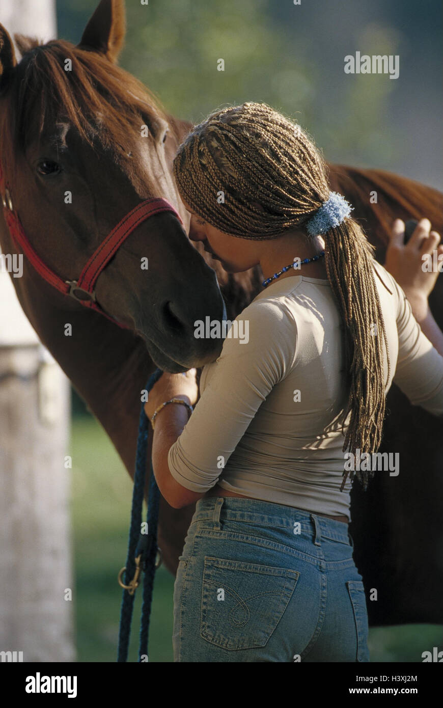 Young persons, horse, touch, detail, riding horse, mammal, benefit animal,  teenager, girl, hairstyle, little plait, rest plaits, horse's head, touch,  touch, caress, kiss, animal-loving, animal-loving, friendship, respect,  trust, affection, rider ...