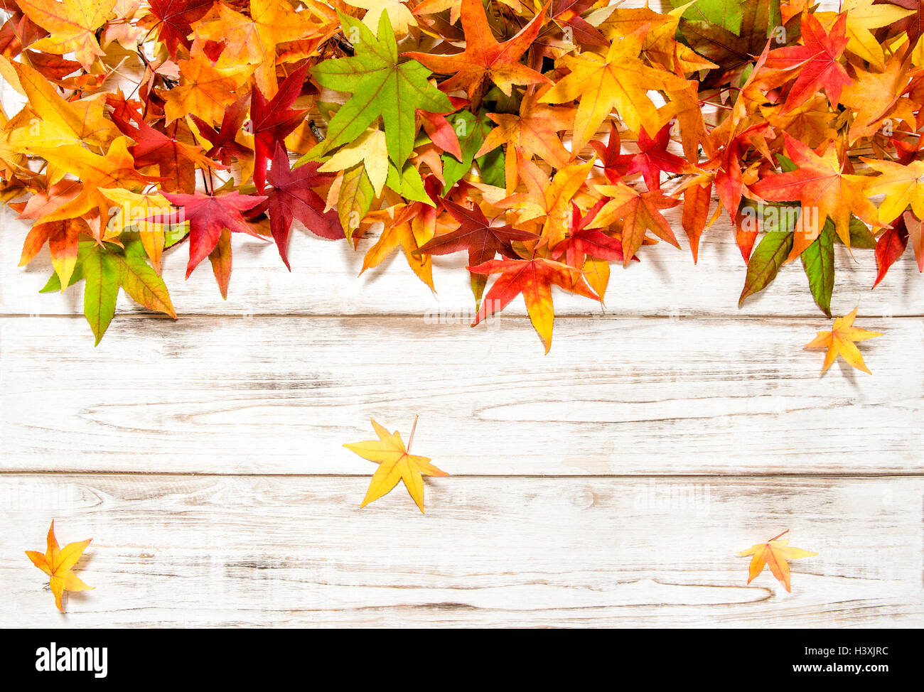 Autumn leaves on bright wooden background. Vibrant colors Stock Photo ...