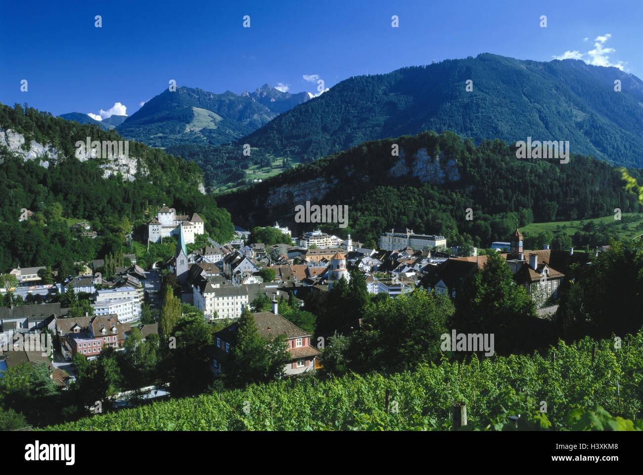 Austria, Vorarlberg, Feldkirch, local view, summer, Europe, mountain Arl, tourist resort, local overview, mountain landscape, valley, houses, residential houses, shadow castle, place of interest, culture, outside Stock Photo