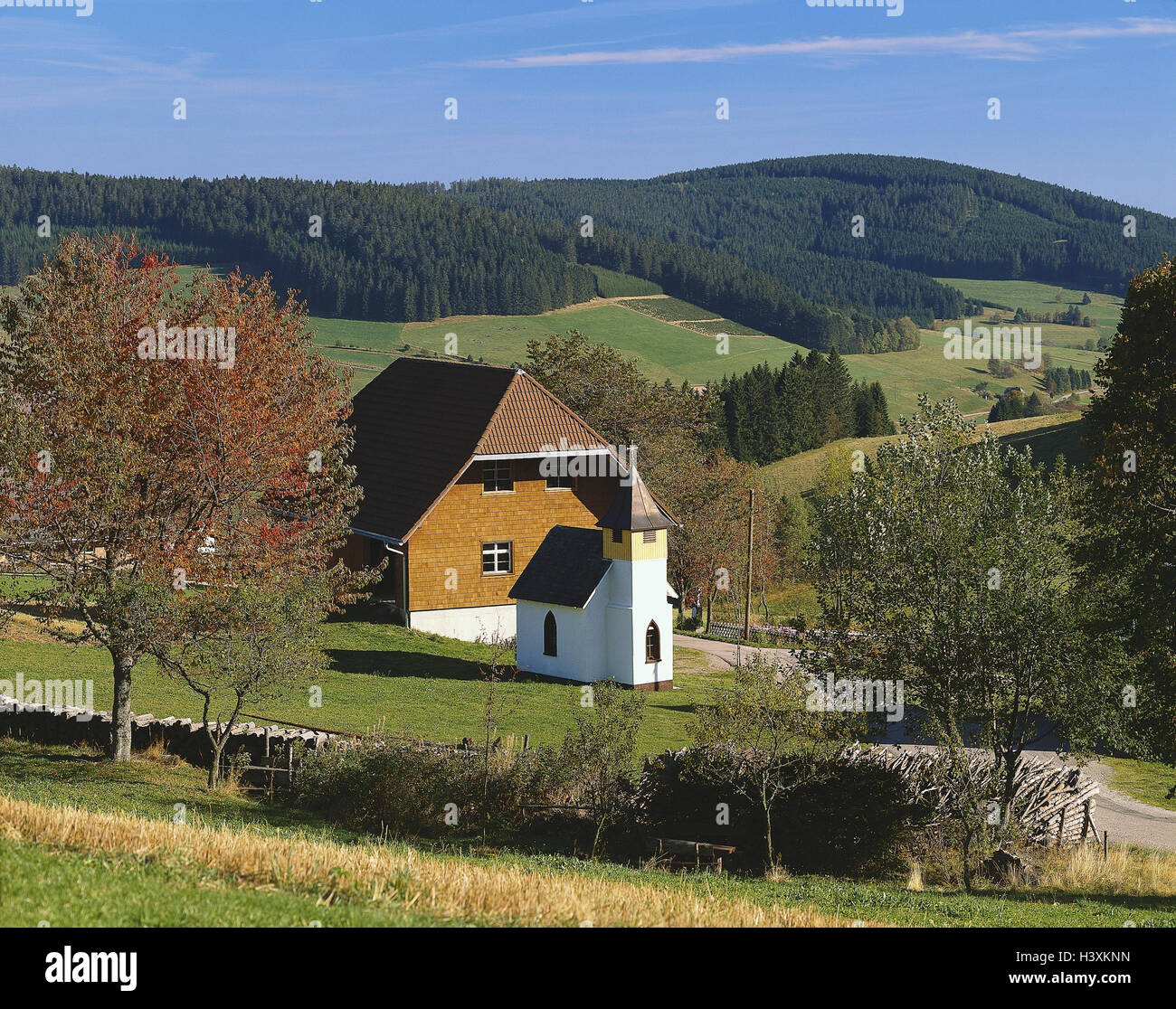 Germany, Black Forest, Jostal, umbel court, scenery, hill, wood, house, residential house, hipped roof, band, autumn Stock Photo