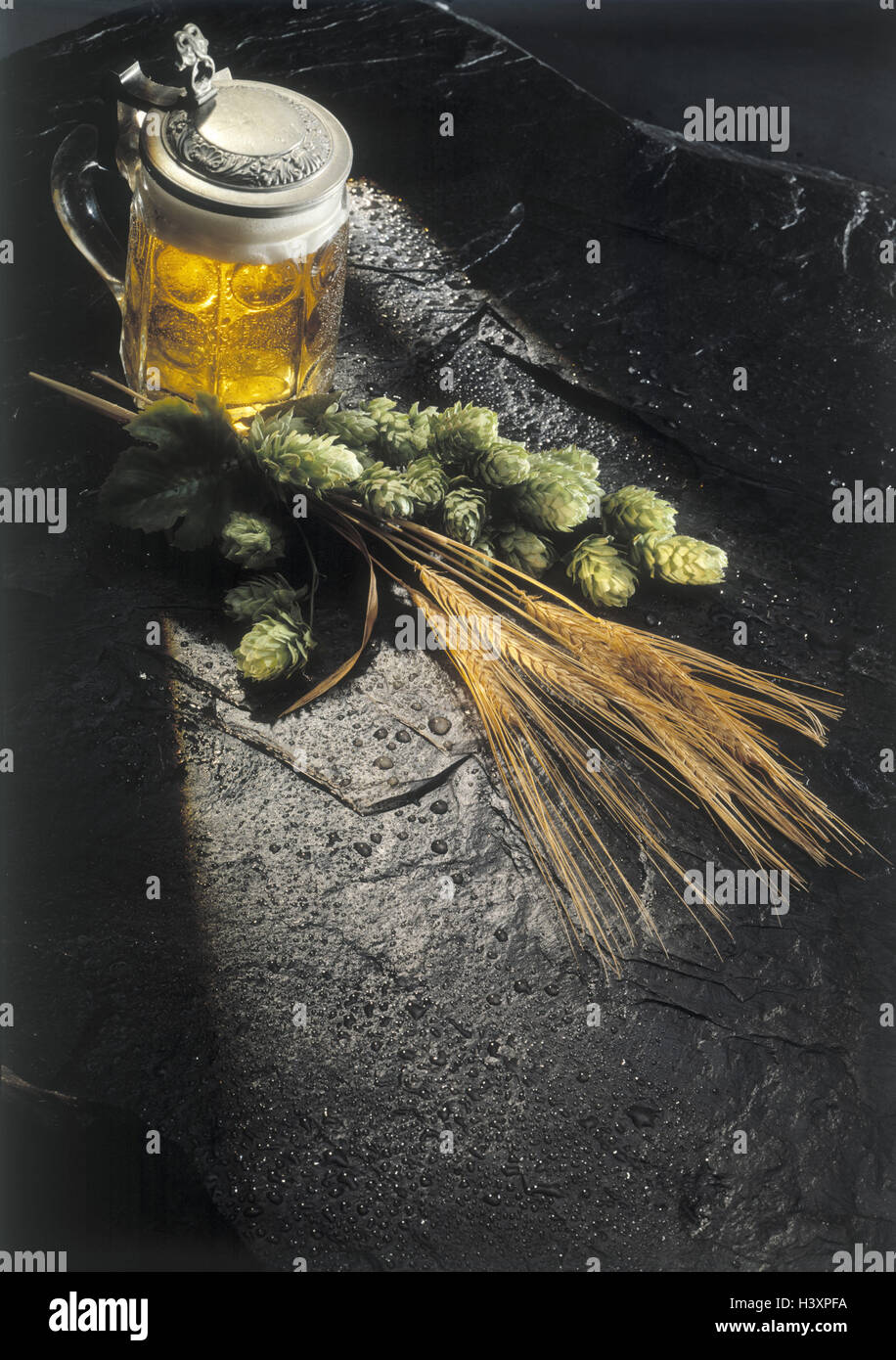 , Still life, beer mug, stuffed, hops, barley, ears, icon, brewing art, ingredients, purity requirement glass, jug, beer glass, tin lid, beer, alcohol, grain, brewing, ground ingredients, in Bavarian, law, cleanness, Stock Photo
