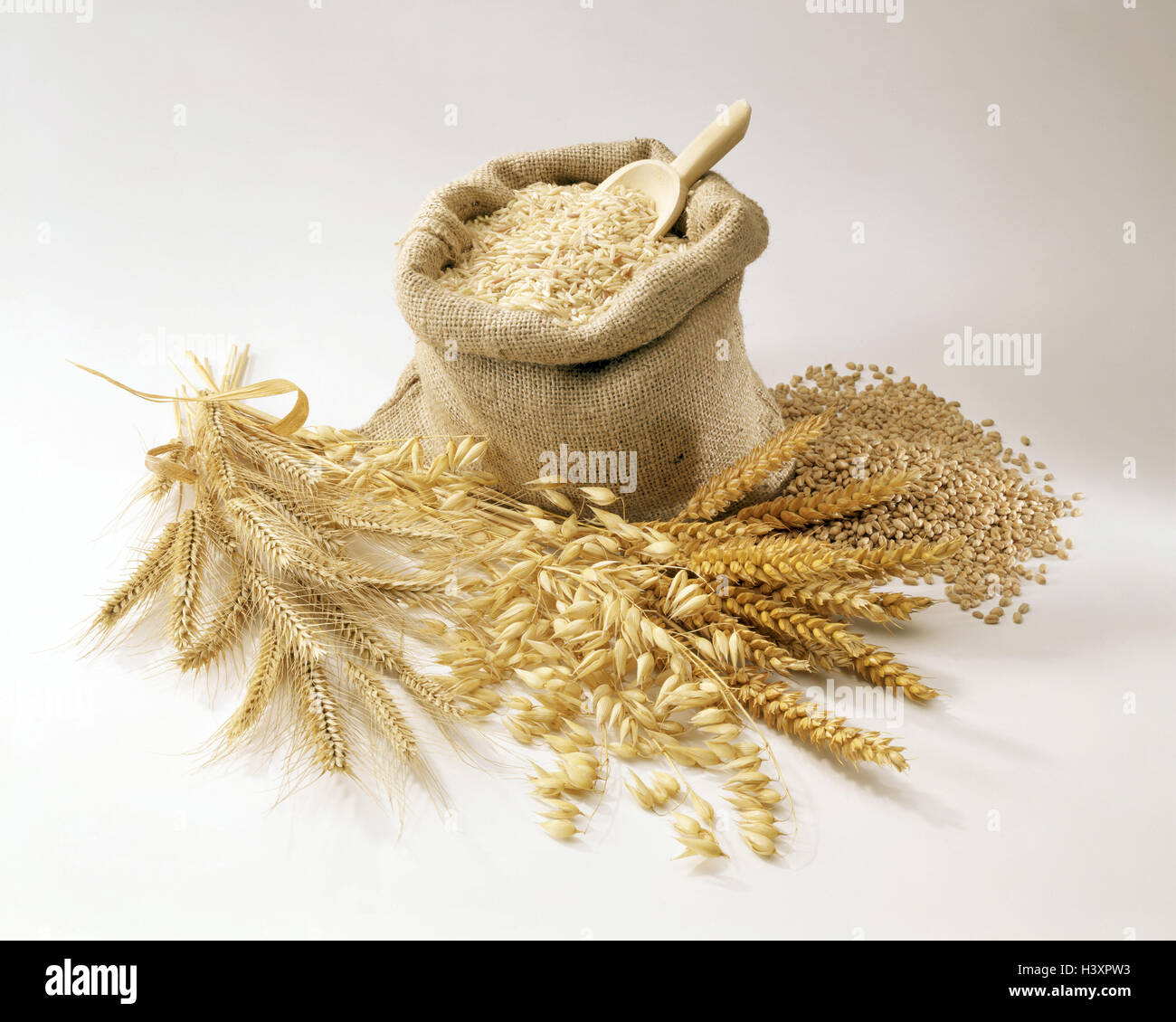 Grain, sorts, passed away, ears, jute pouch, travel, copy space cereals, grain sorts, grain ears, grain centre punches, rye ear, roughage, cultivated plants, food, Still life, product photography, cut out, studio Stock Photo