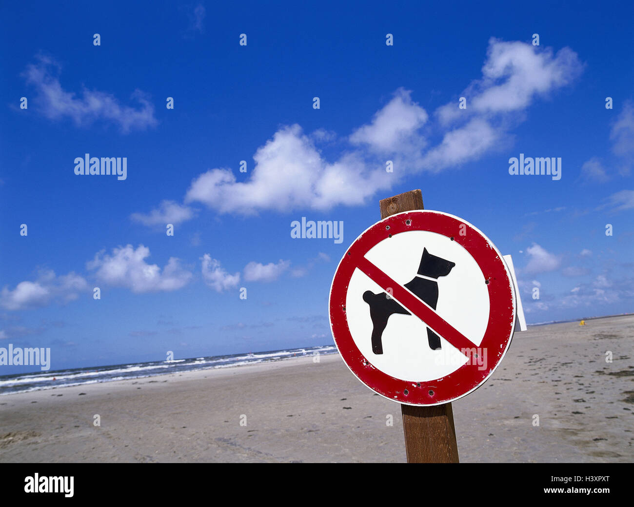 owalo design Hunde In Not Schleswig Holstein