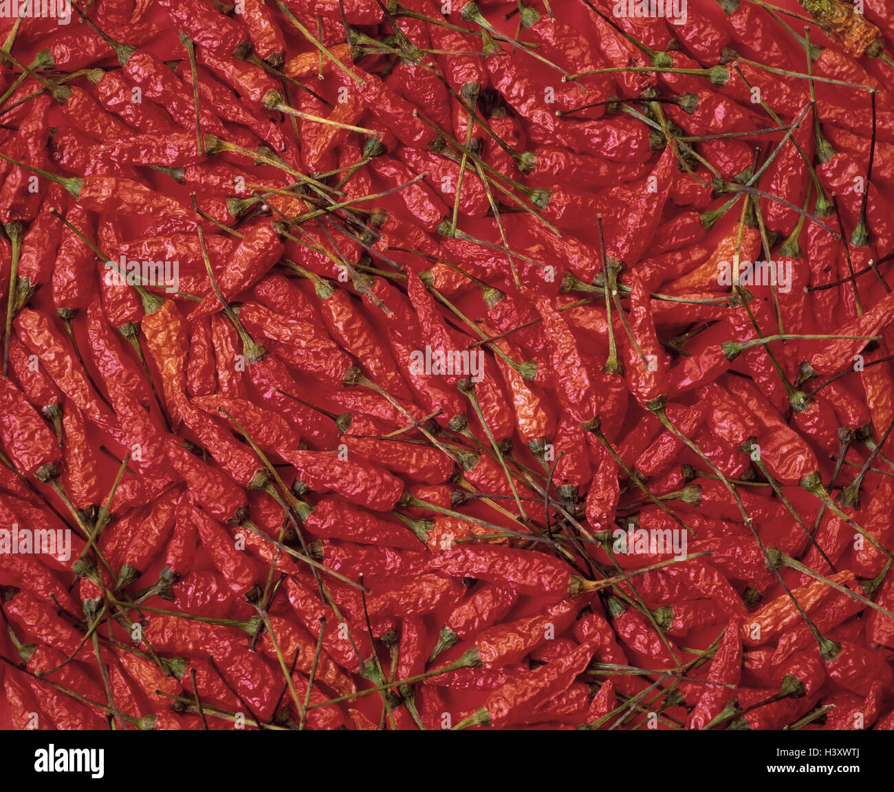 Chilli, red, dryly, Still life, paprika, peppers, Capsicum, chilli, chilli pods, vegetables