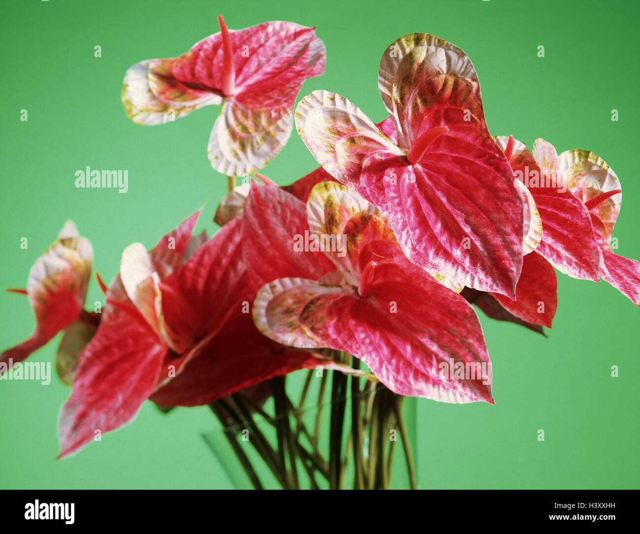 garden tags for plants Epic Plant Tags