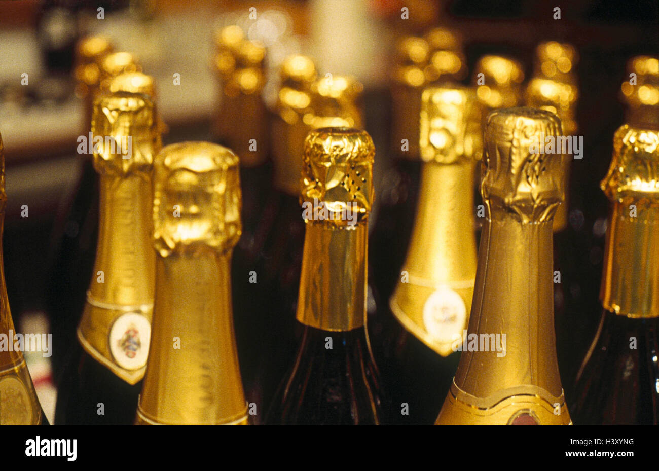 Bottles, champagnes, close up, Still life, product photography, Sparkling Wine, Sparkling Wine Bottles, champagne Bottles, detail, unopened, sealed, corks, drinks, alcoholic, alcohol, bottlenecks, close up Stock Photo