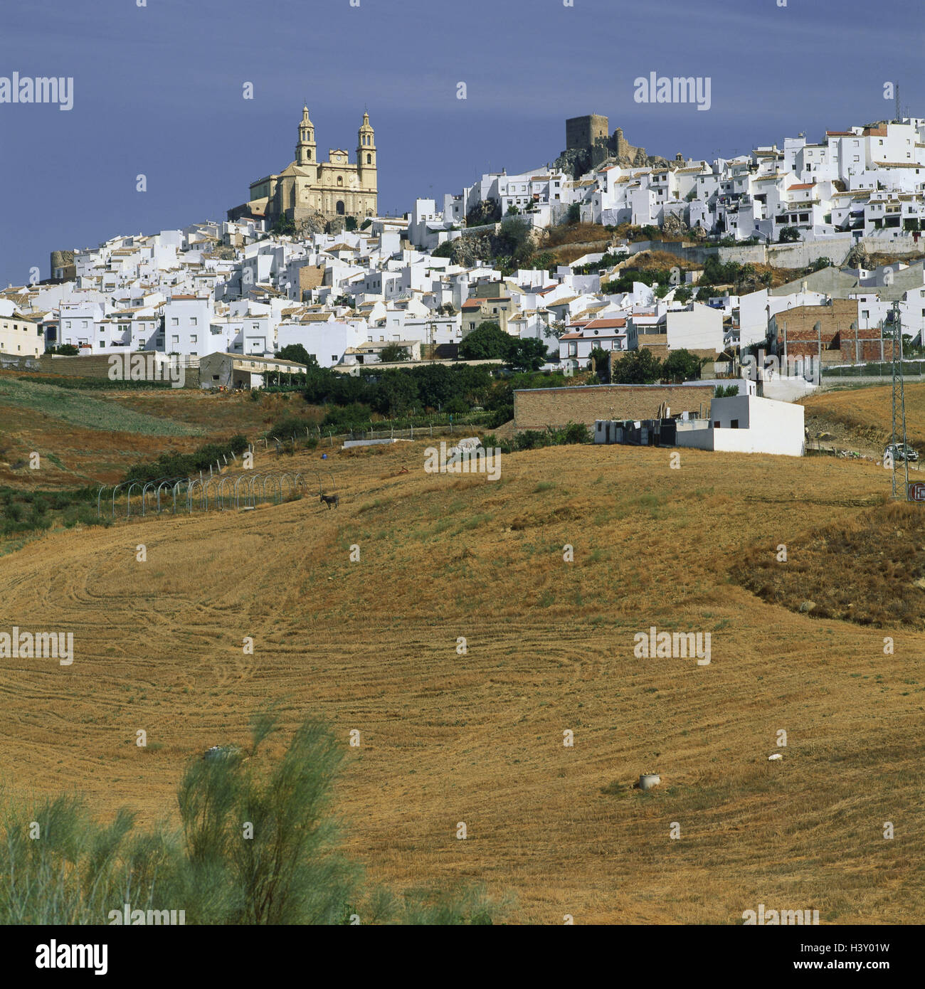 Spain, Andalusia, Olvera, town view, church, Europe, view, town, church, faith, religion, town view, heaven blue, outside Stock Photo