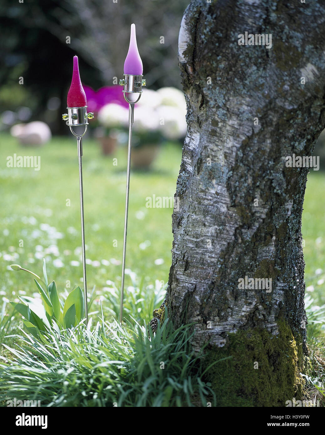 Garden, tree, detail, strain, candlestick, candles, passed away