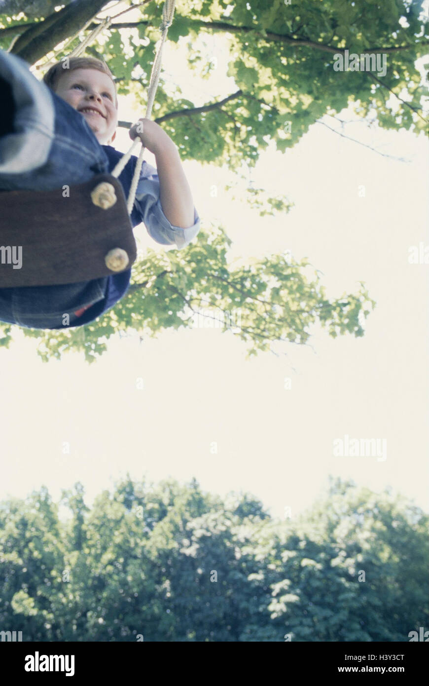 Tree, boy, swing, detail, from, below, model released, summers, tree top, branches, leaves, child, leisure time, fun, play, game, swing, springboard swing, wooden springboard swing, wooden swing, leather Stock Photo