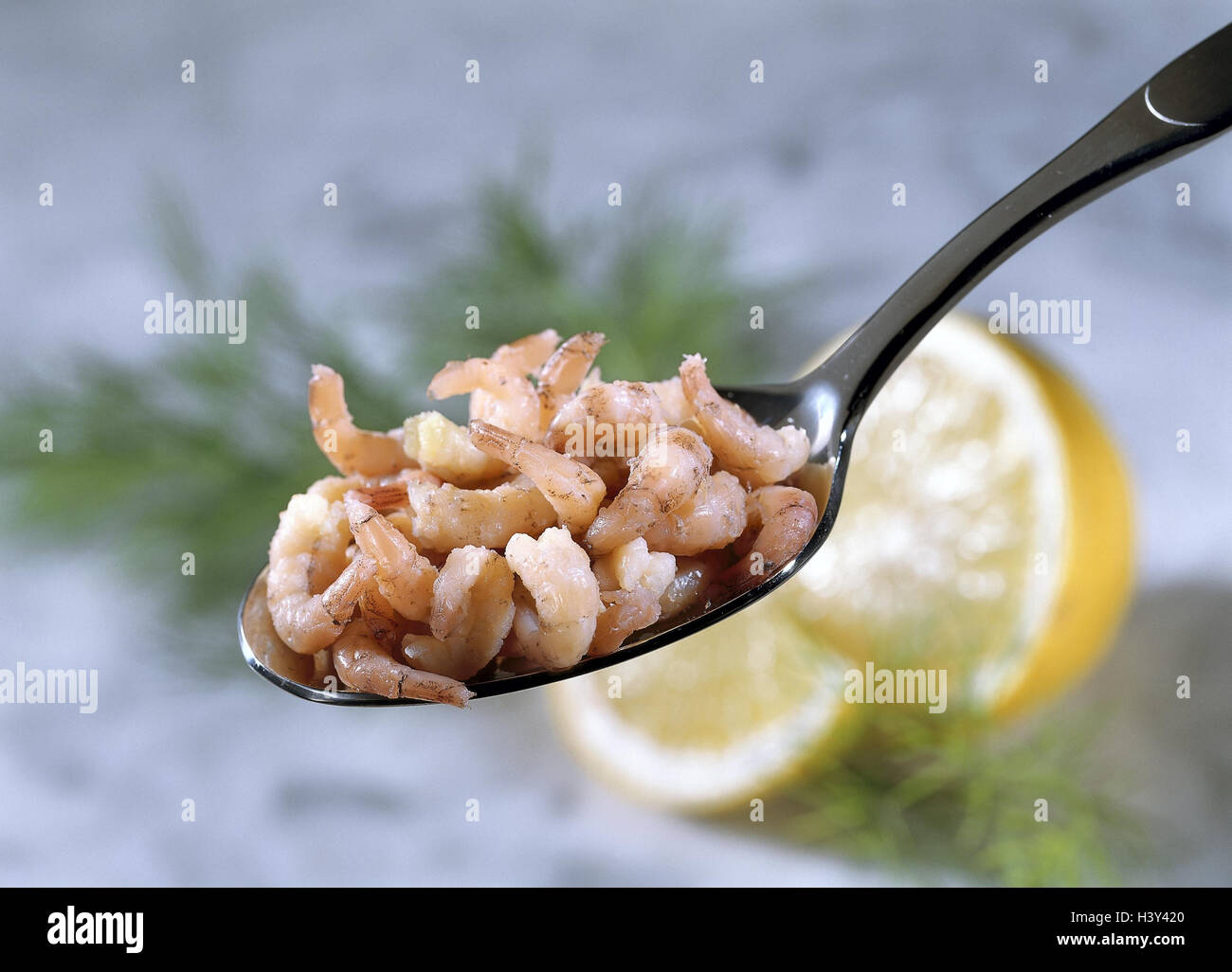 Spoon, North Sea crabs, dill, lemons, fish dish, crabs, shrimps, dish, food, meal, sea animals, crustaceans, shellfish, food, eat, delicatessen, delicacy, speciality, product photography, Still life Stock Photo