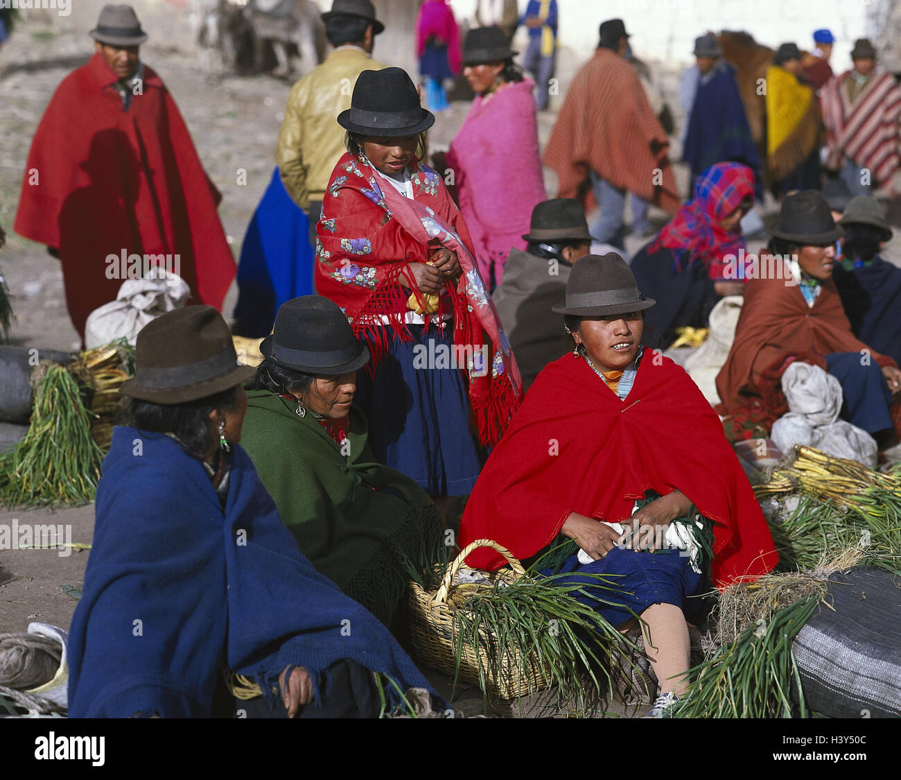 Ecuador, Zumbagua, South American Indian's market South America, Ecuador, town, market, person, locals, South American Indians, clothes, brightly, traditionally, tradition, economy, sales, product, food, vegetables, outside Stock Photo