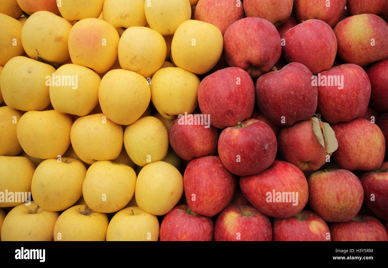 Premium Photo  Fresh, natural, organic, juicy green apples