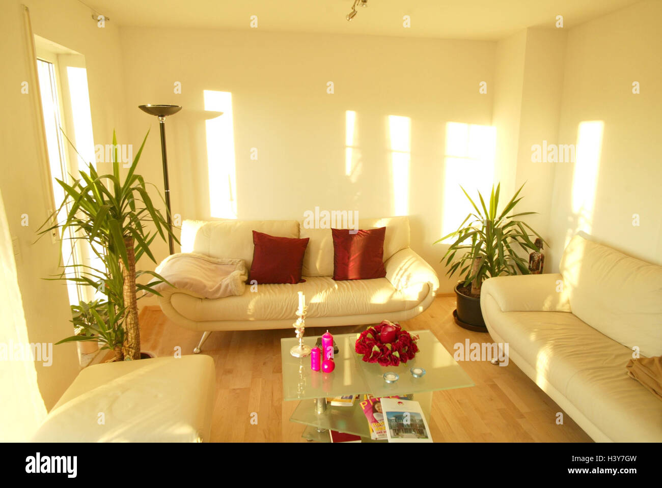 Sitting rooms, setup, modern, glass table inside, at home, living space