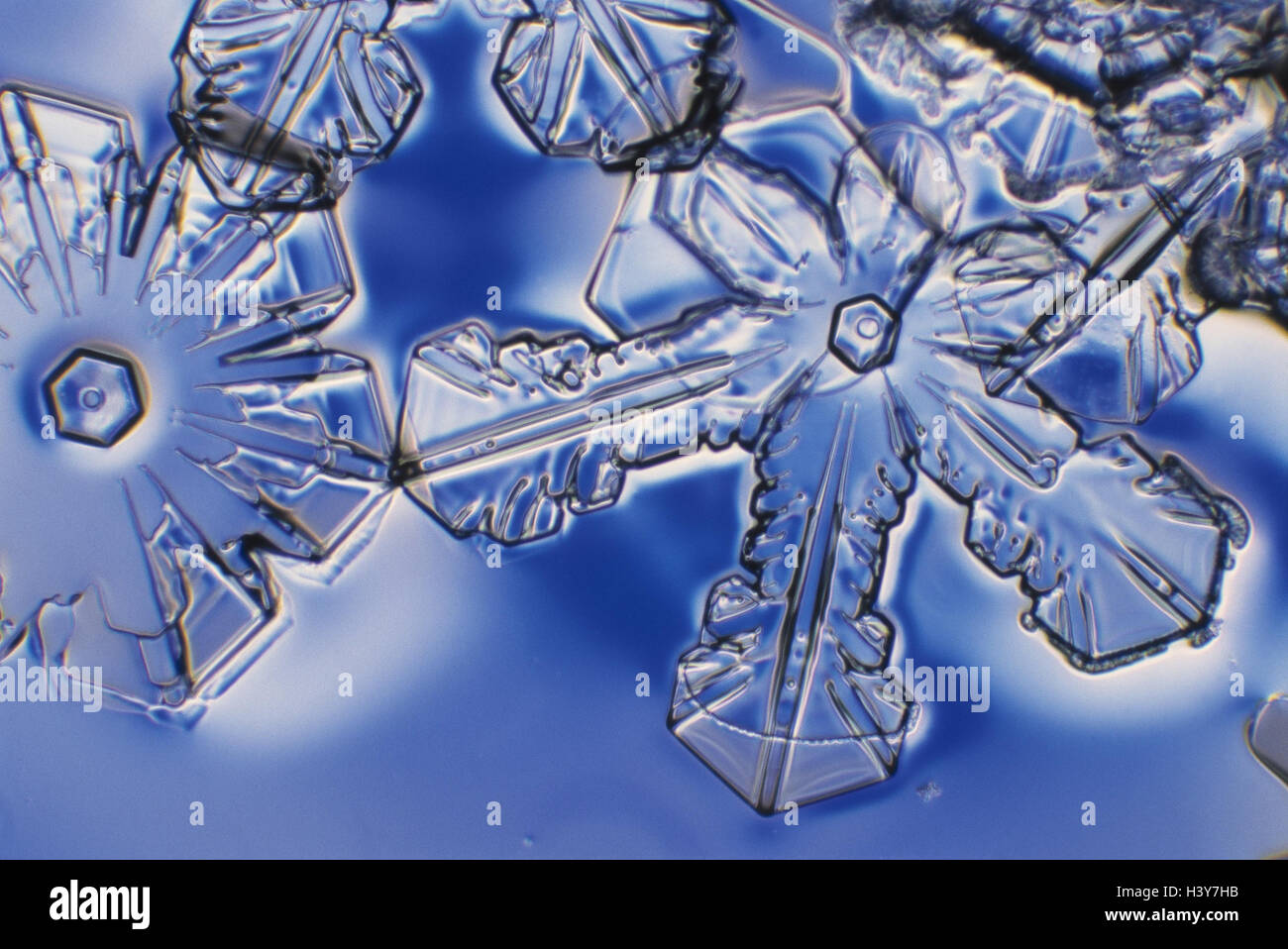 ice crystal images