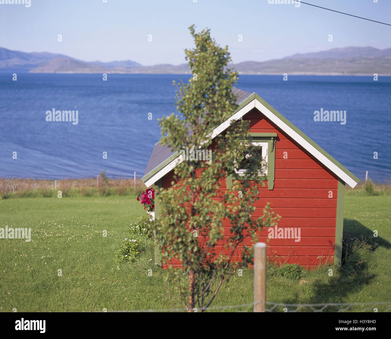 Norway, Finnmark, coastal scenery, house, fjord, Europe, Scandinavia, Kongeriket Norge, Nordnorwegen, wooden house, wooden small house, hut, coast, meadow, sea, scenery, tree, blur Stock Photo