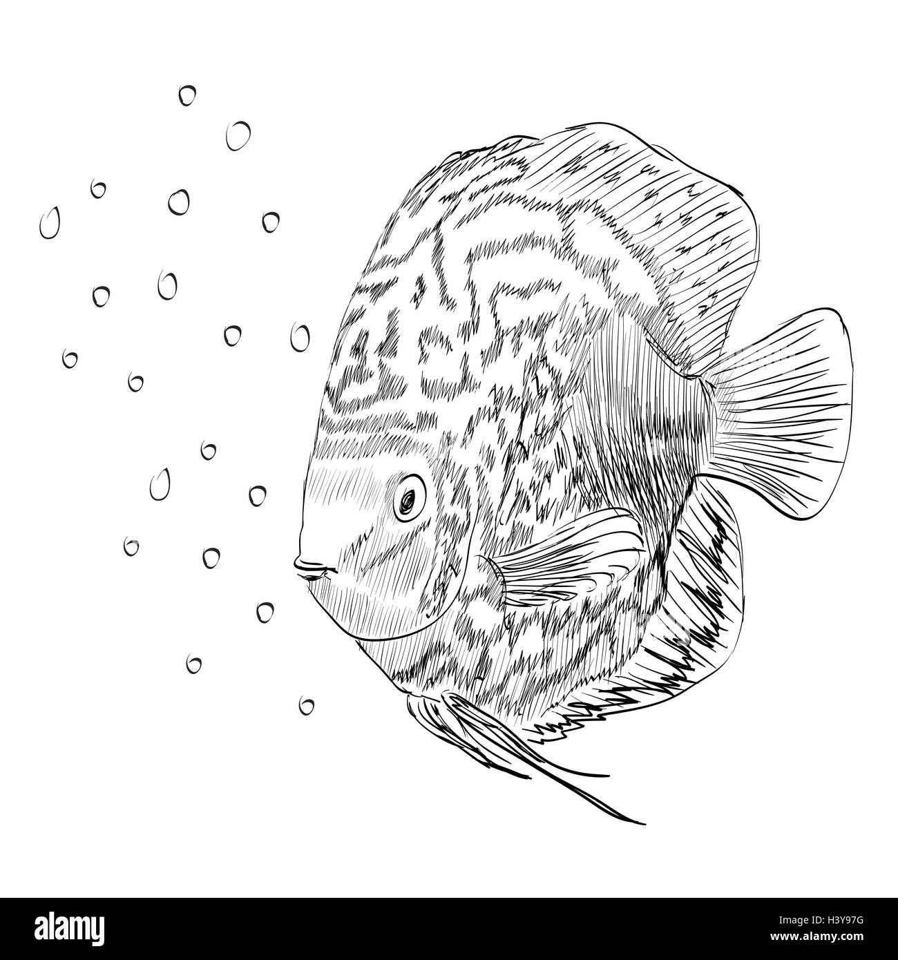 Pencil Fish Fishing High Resolution Stock Photography And Images Alamy