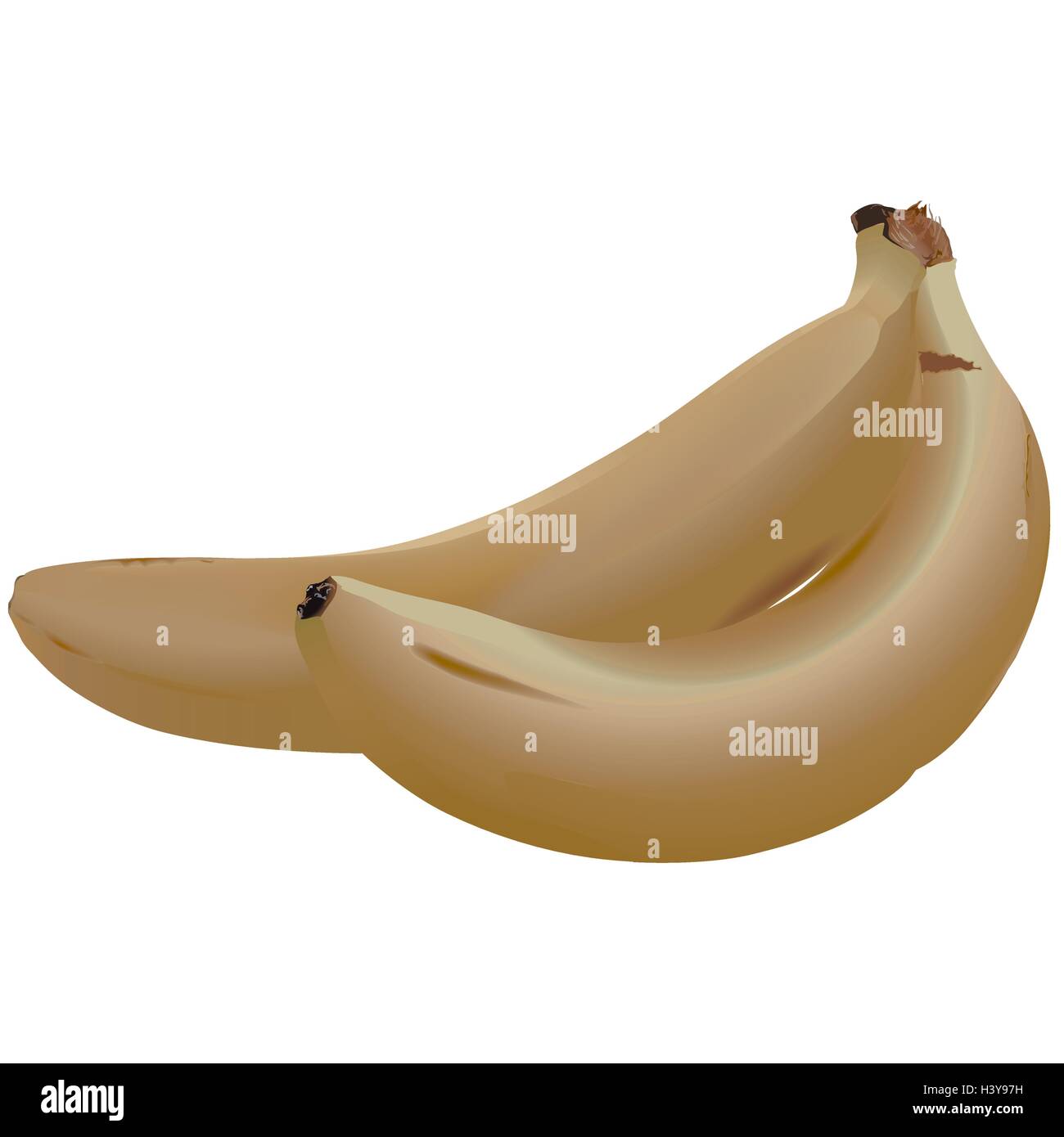 Bananas Stock Vector