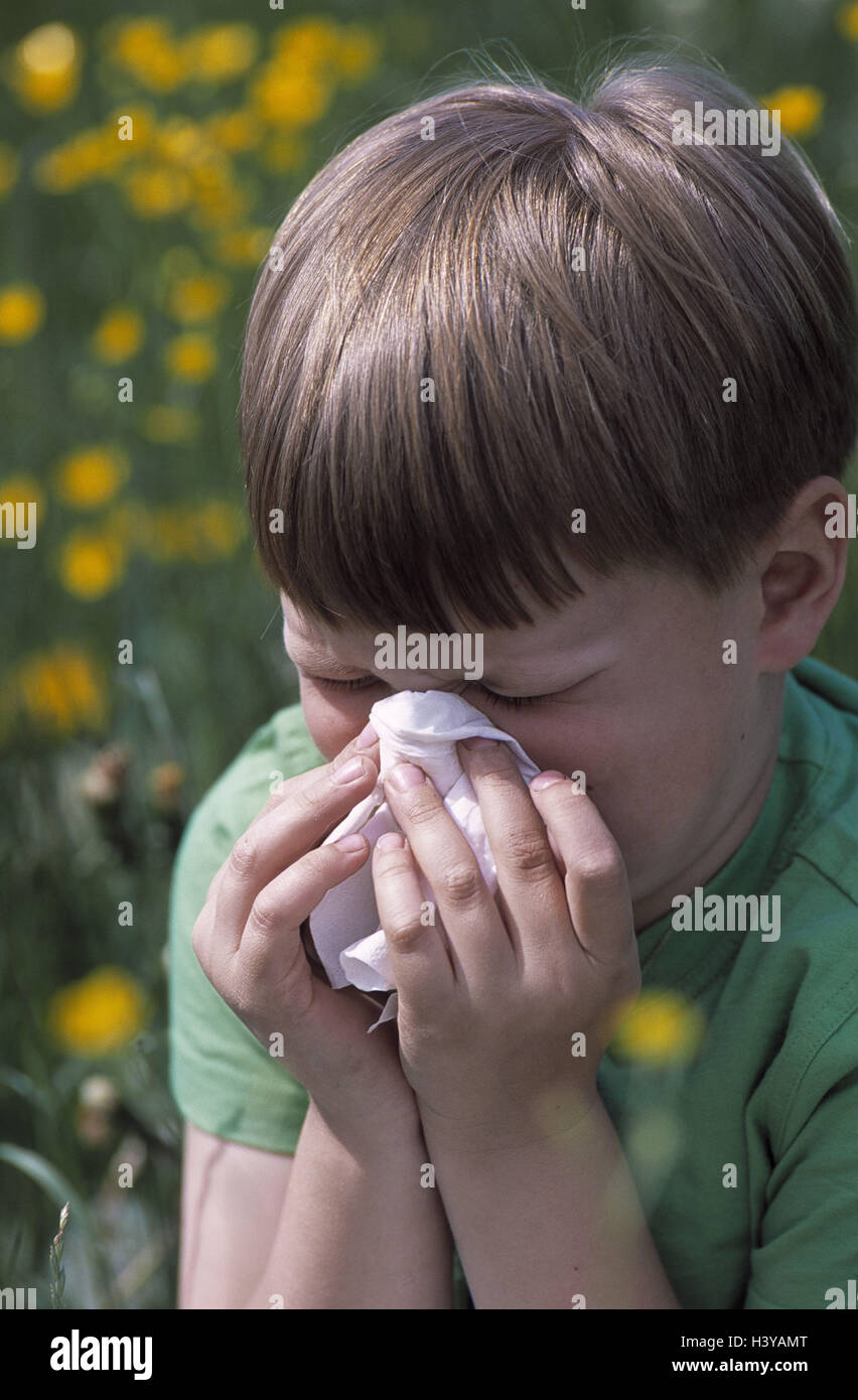 Pollinosises, flower meadow, boy, paper tissue meadow, flowers, child