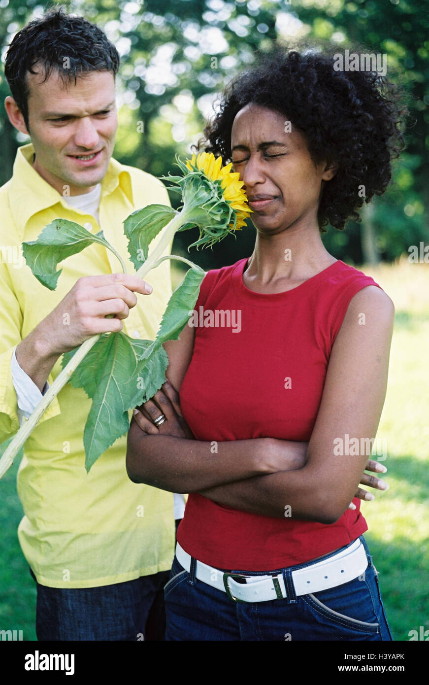 Couple, sunflower, woman, facial play, annoys, friendship, partnership, conflict, fight, mood, expression, displeasure, annoyance, discord, bright period, flower, joke, skin colour, differently, non-whites, swarthy Stock Photo
