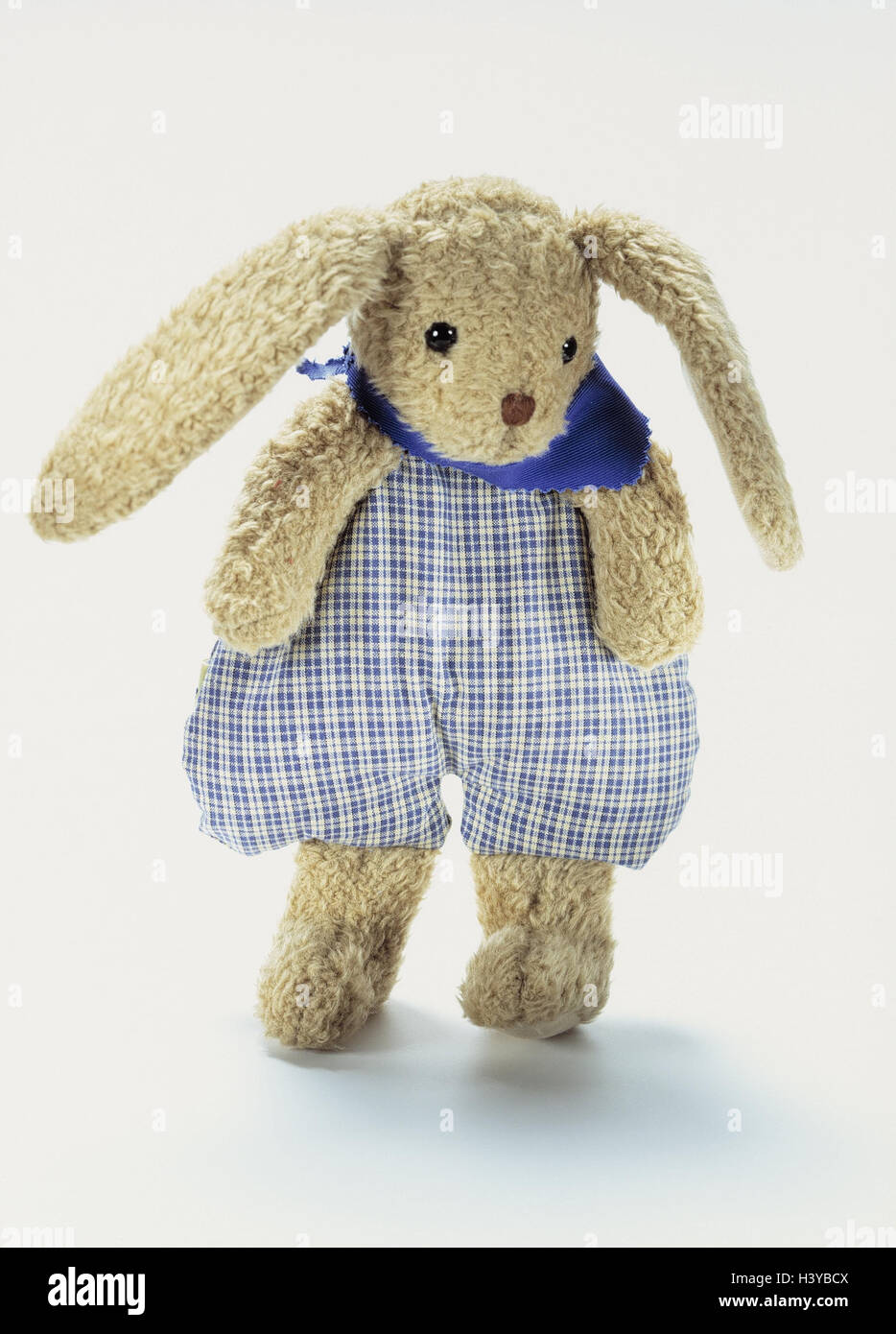 bear hare high resolution stock photography and images alamy