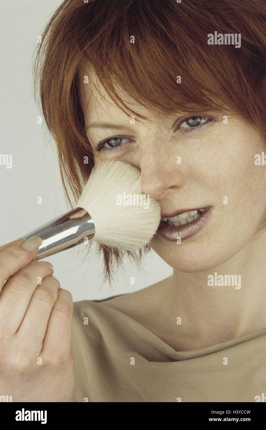 Short Haired Brush High Resolution Stock Photography and Images - Alamy