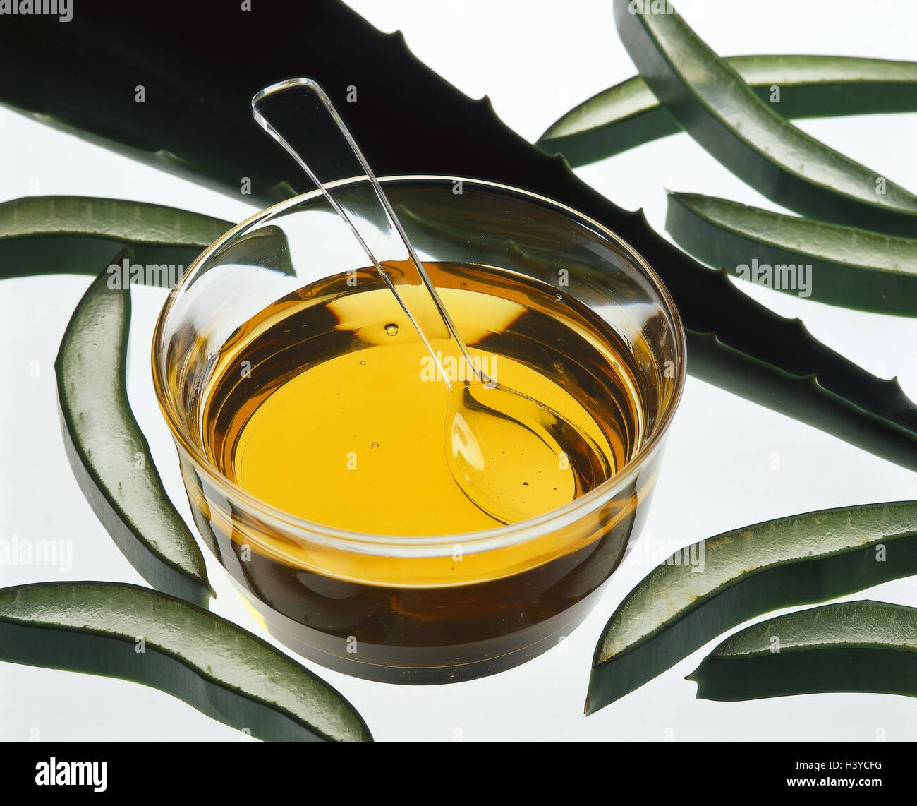 Agave, leaves, chopped, agave syrup, Versüßer, "Blue of agave