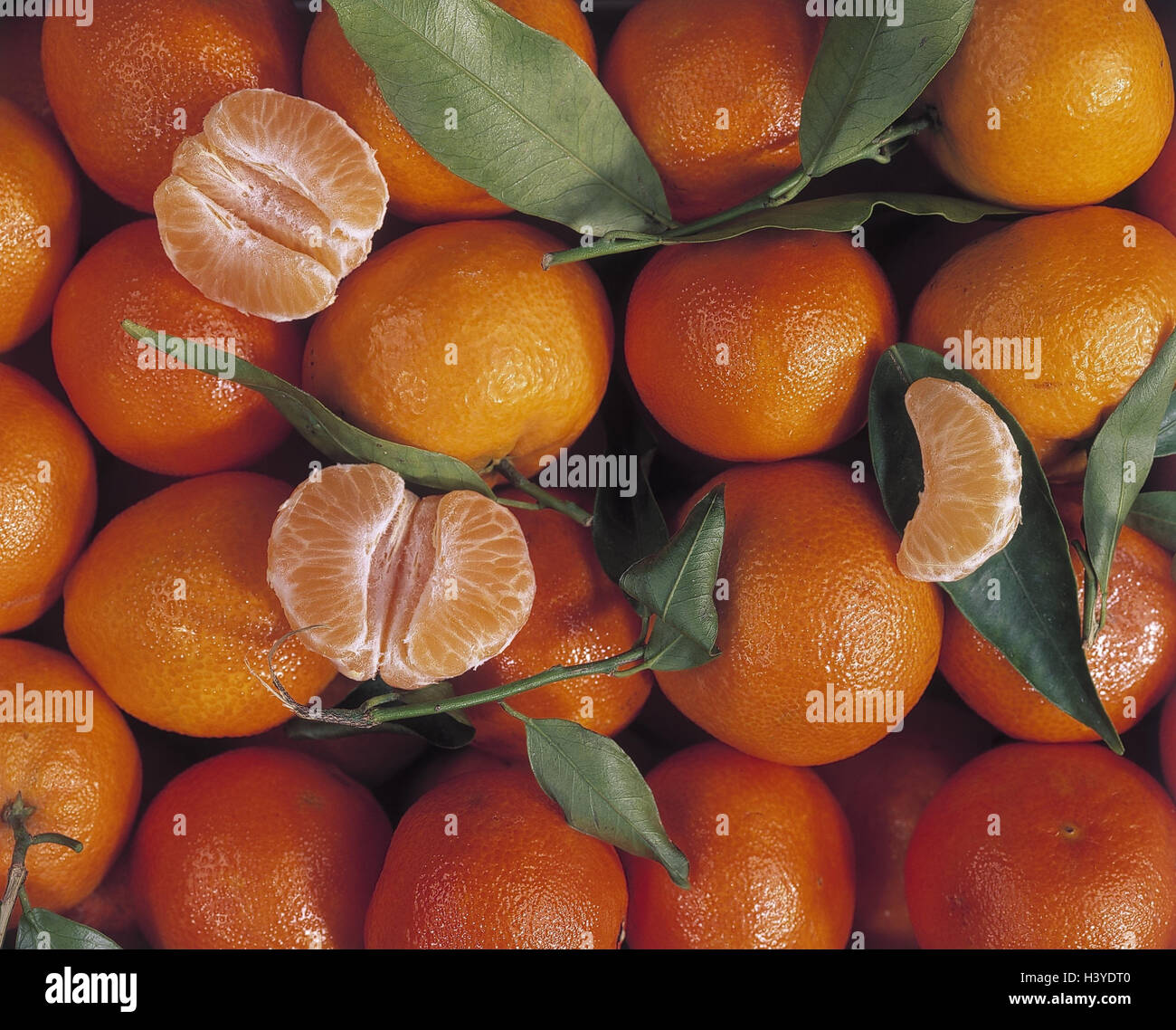 Clementinen, leaves, detail, from above, Still life, product