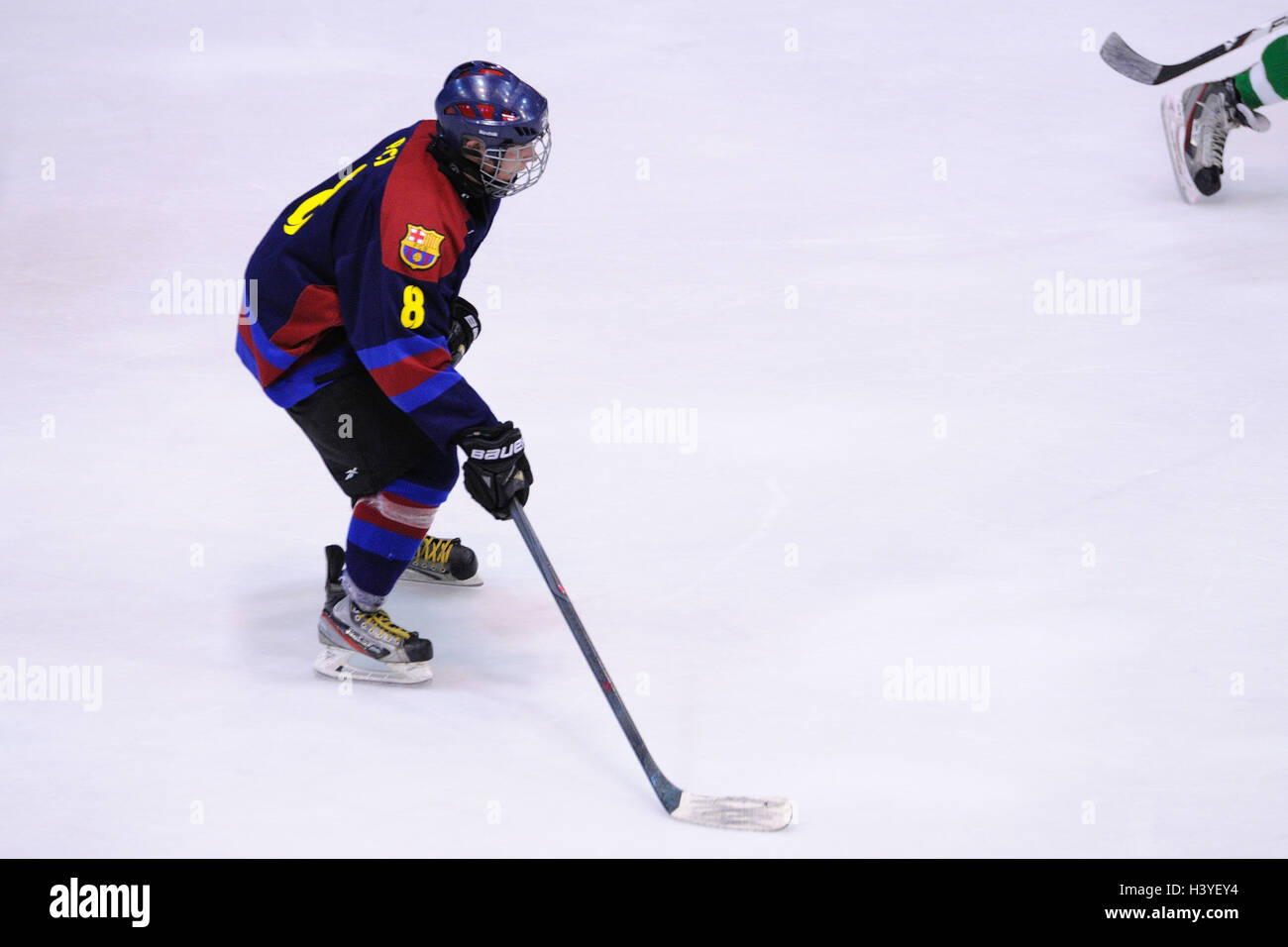 Professional hockey hires stock photography and images Alamy