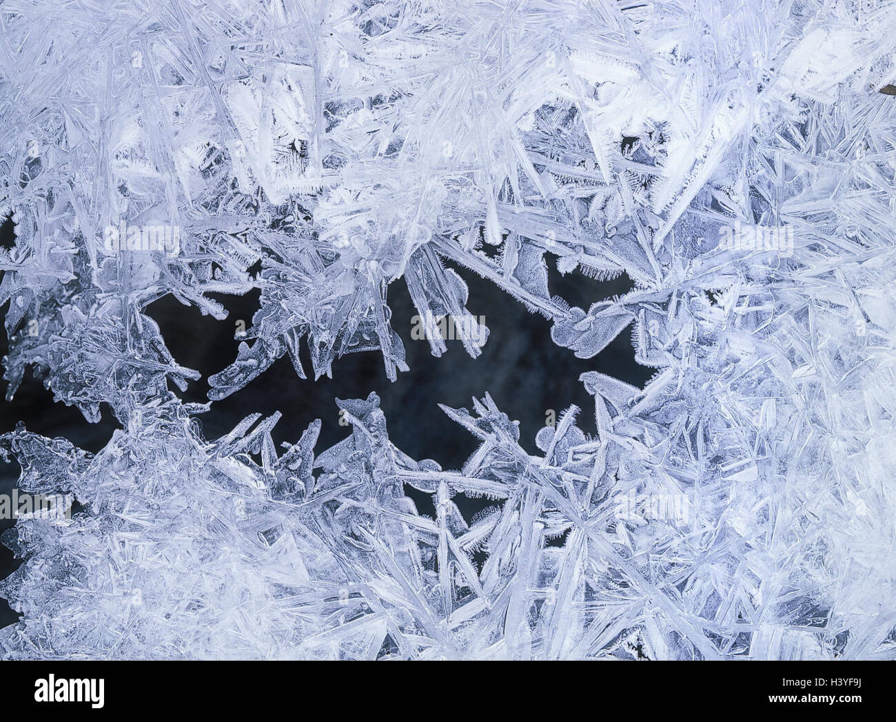 Brook, freezes over, ice-crystals, close up, water, frozen, ice, frost flowers, forms, samples, structure, cold, coldly, nature, spectacle nature, natural phenomenon, Germany, middle town Stock Photo