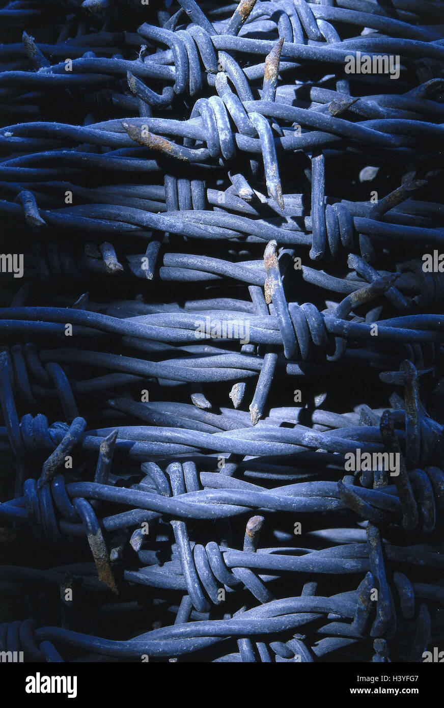 Barbed wire, detail, wire, fence, security fence, metal, pointed, hot