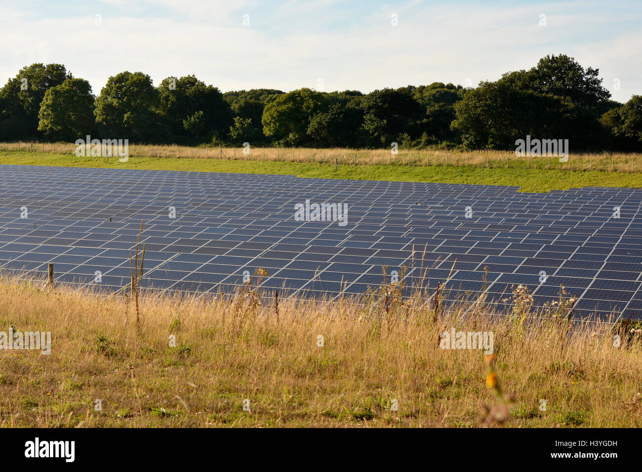 Field of solar electricity panels near Chichester, West Sussex, England Stock Photo