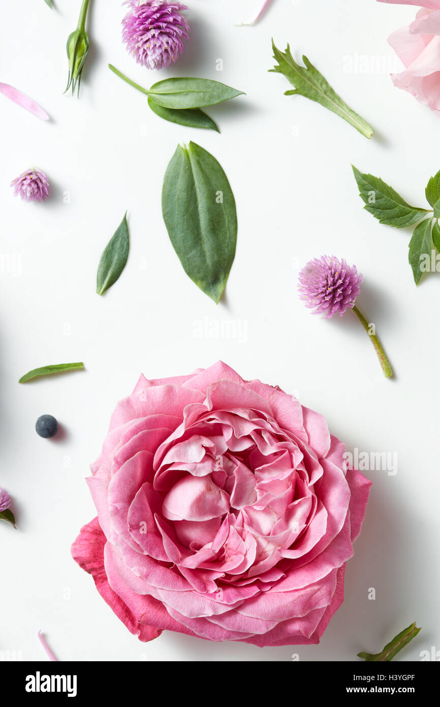 Vintage background of pink roses Stock Photo - Alamy