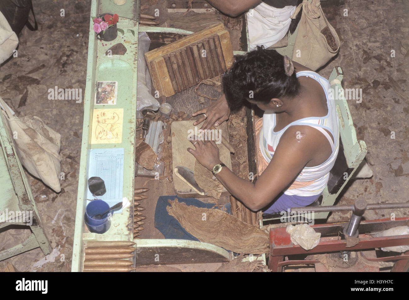 Cuba, Havana, tobacco factory, cigar production, worker, cigars, scroll