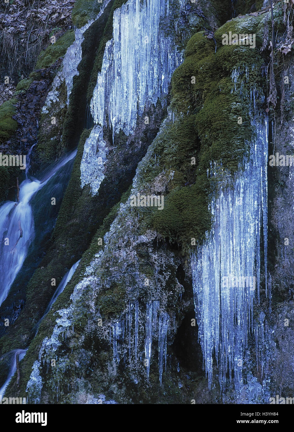 Rock, waterfall, freezes, icicles, winters, bile, cliff face, moss, bemoost, water, frozen, ice, ice cream thing, cold, nature, spectacle nature, Germany, Swabian nightmare, Ermstal, bath Urach, Gütersteiner waterfall Stock Photo