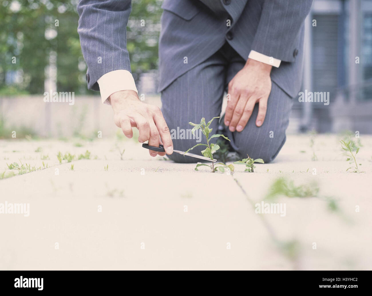Businessman, kneel, scissors, weed, truncate, detail, floor, outside, business, manager, picky, care, Pingeligkeit, order, mess, exactly, übergenau, accuracy, pedant, Pedanterie, order sense, phobia, icon, growth, decision, care, power, influence, effect, Stock Photo