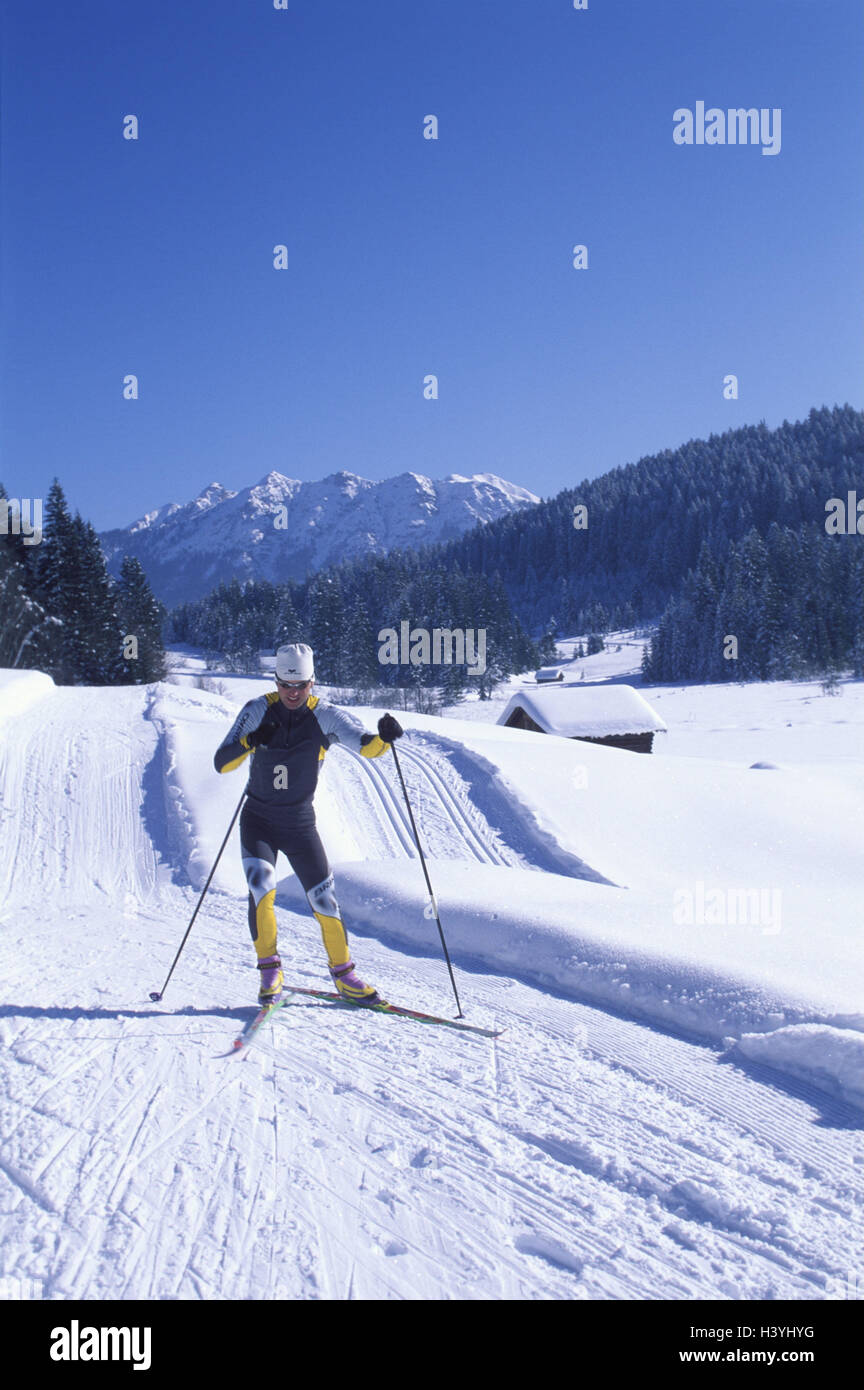 Going crosscountry skiing, skaters, motion Winter scenery, Cross