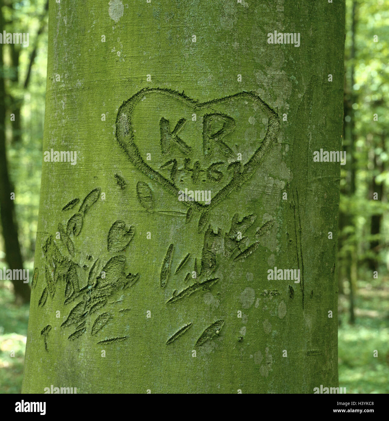 Wood, trunk, tree bark, heart, initials, datum, icon, love, tree, strain, tree bark, bark, letter, figures, carved, scalloped, sign of love, recollection, figure, feeling, romanticism, falls in love, declaration love, imperishable, Still life Stock Photo