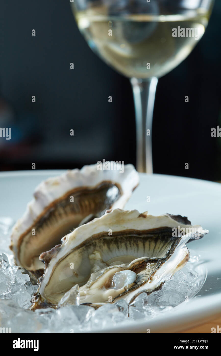 Fresh oysters with white wine Stock Photo Alamy