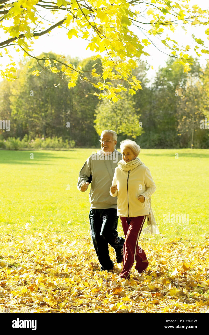 Meadow, Senior couple, jogging, senior citizens, Best Age, leisurewear, leisure time, fitness, fit, agile, jog, run, prompt running, initiative, together, sport, sportily, motion, activity, vitality, cycle, joy living, autumn, season, autumnally Stock Photo