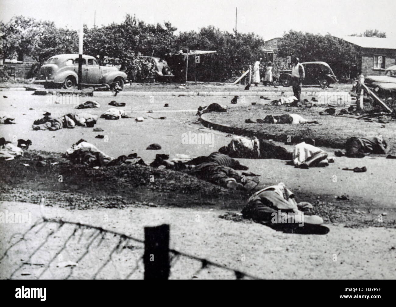 Photograph of dead bodies in the forecourt of the Sharpeville police station in South Africa. Dated 20th Century Stock Photo