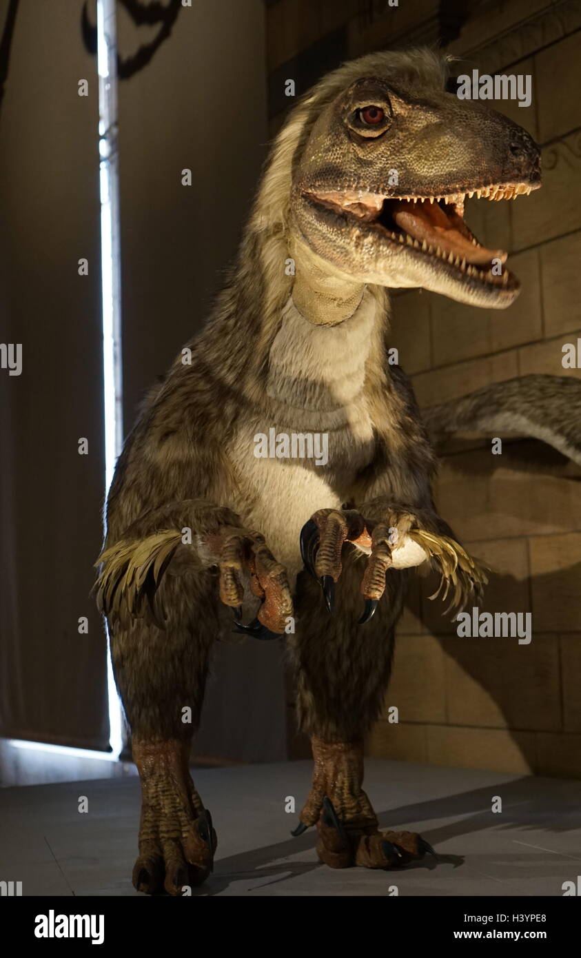 Deinonychus  Natural History Museum